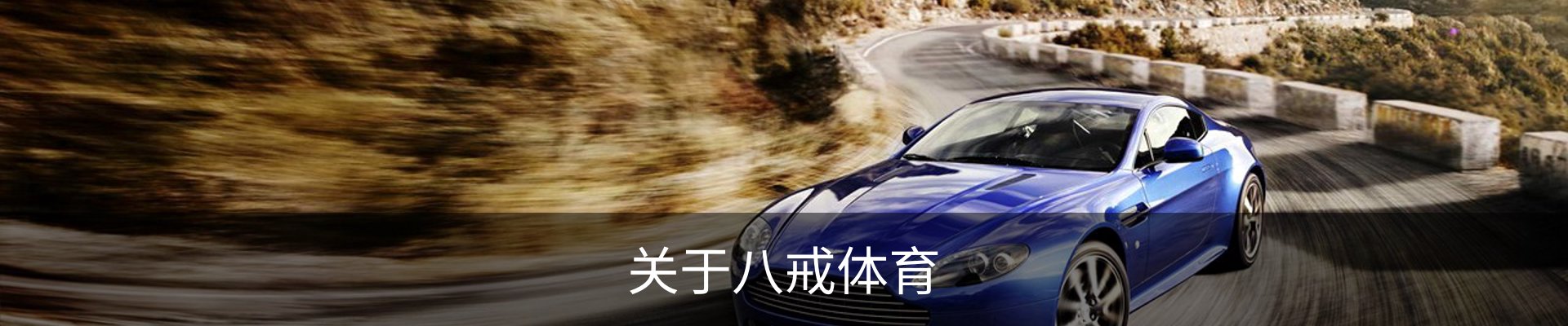 关于八戒体育